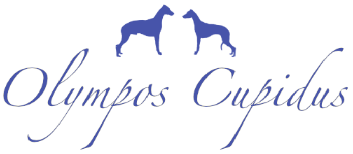 Olympos Cupidus